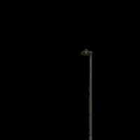 Asset preview